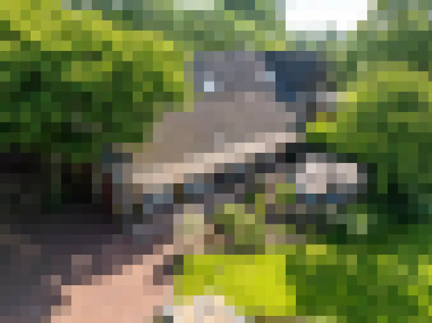 Elsteren 11 Well L thumbnail 98
