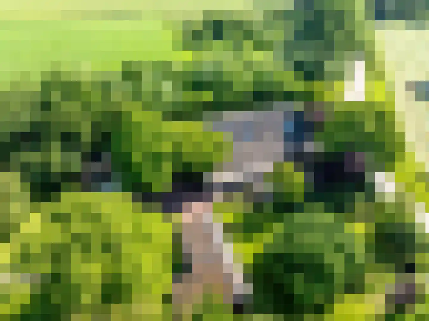 Elsteren 11 Well L thumbnail 99