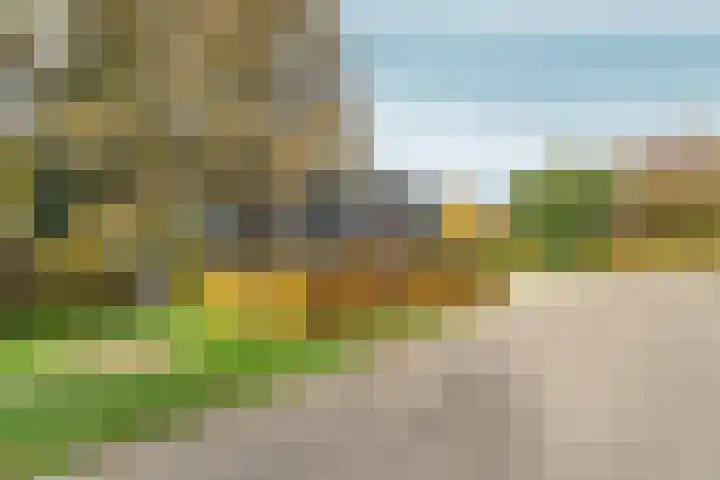 Elsteren 9 en Well L