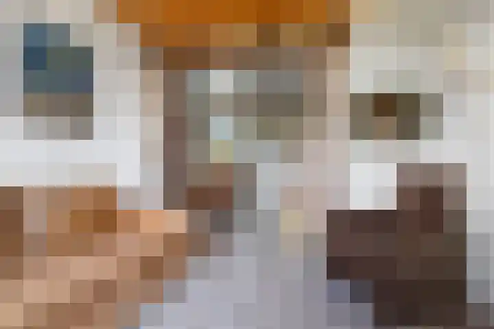 Elsteren 9 Well L thumbnail 11