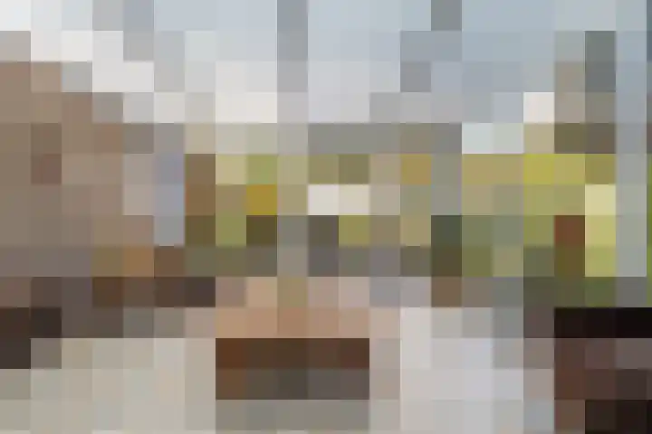 Elsteren 9 Well L thumbnail 15