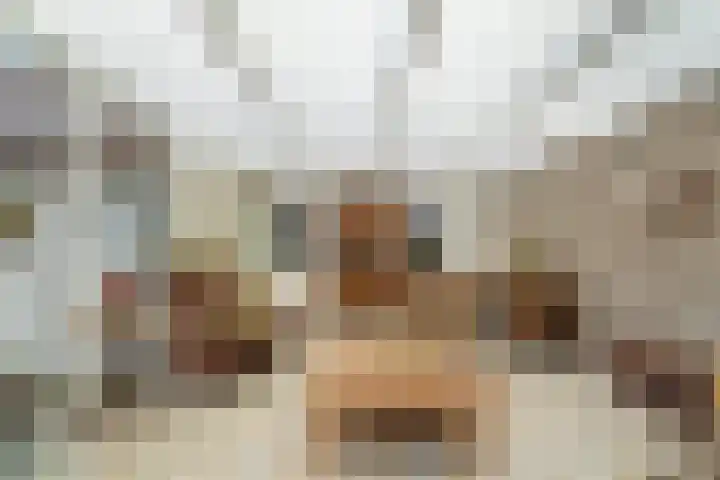Elsteren 9 Well L thumbnail 16