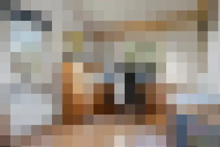 Elsteren 9 Well L thumbnail 21