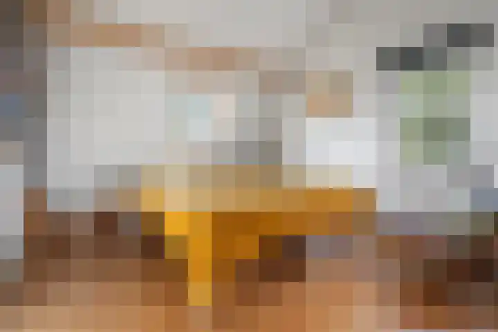Elsteren 9 Well L thumbnail 22