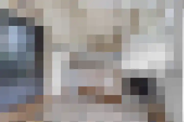 Elsteren 9 Well L thumbnail 26