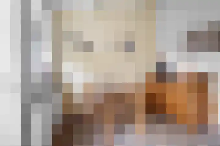 Elsteren 9 Well L thumbnail 27
