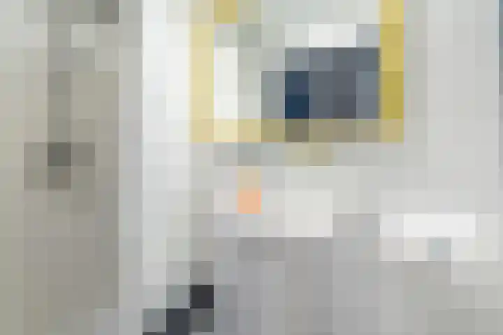 Elsteren 9 Well L thumbnail 28