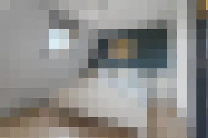 Elsteren 9 Well L thumbnail 30