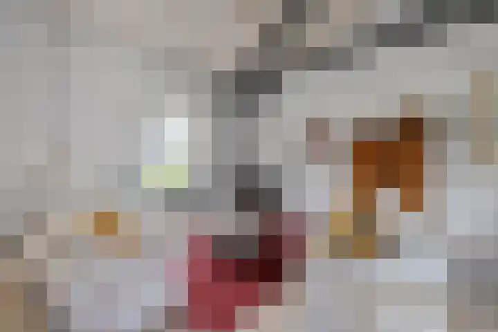 Elsteren 9 Well L thumbnail 31