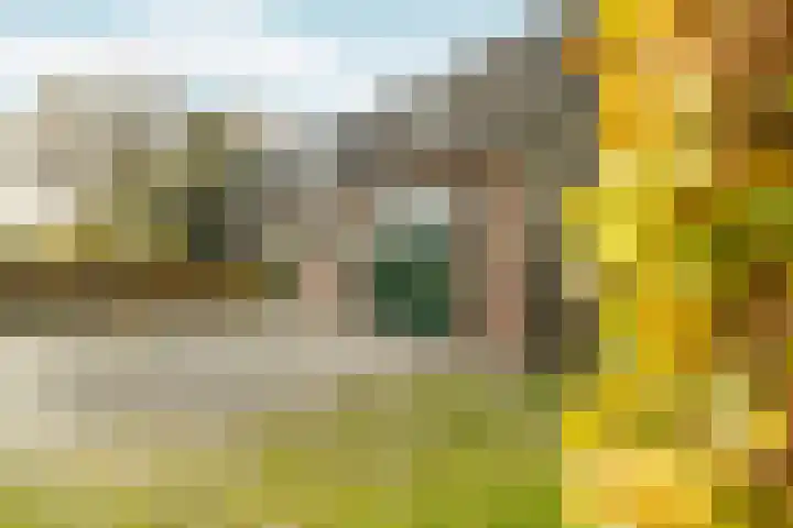 Elsteren 9 Well L thumbnail 35