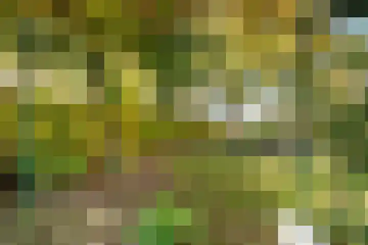 Elsteren 9 Well L thumbnail 36