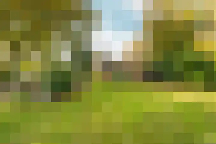 Elsteren 9 Well L thumbnail 37