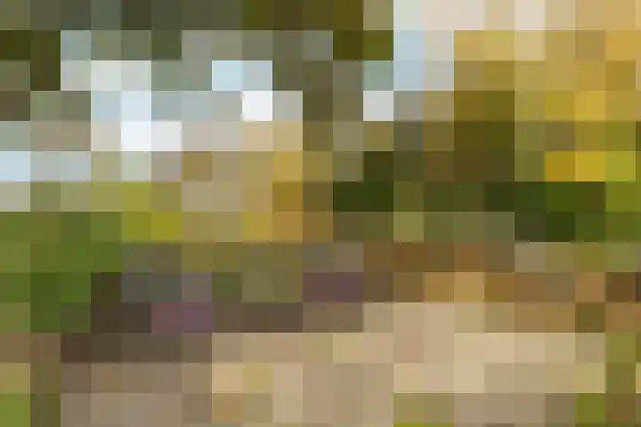Elsteren 9 Well L thumbnail 39