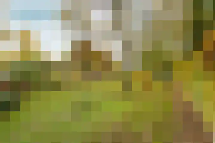 Elsteren 9 Well L thumbnail 40