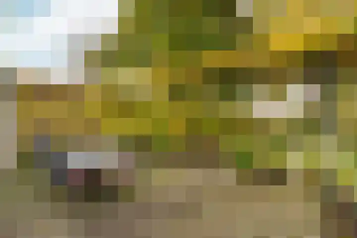 Elsteren 9 Well L thumbnail 41