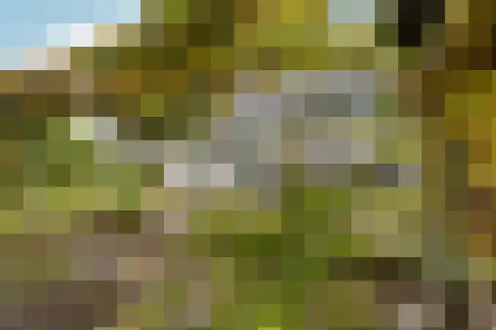 Elsteren 9 Well L thumbnail 42