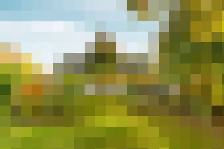 Elsteren 9 Well L thumbnail 43