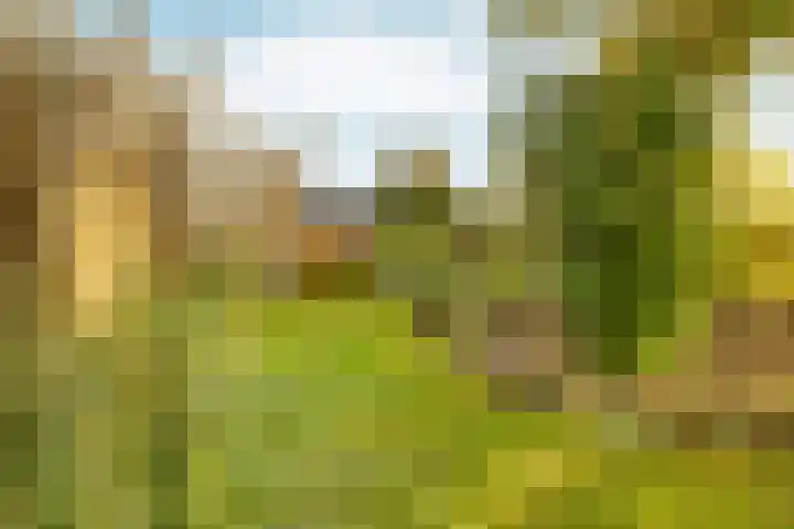 Elsteren 9 Well L thumbnail 44