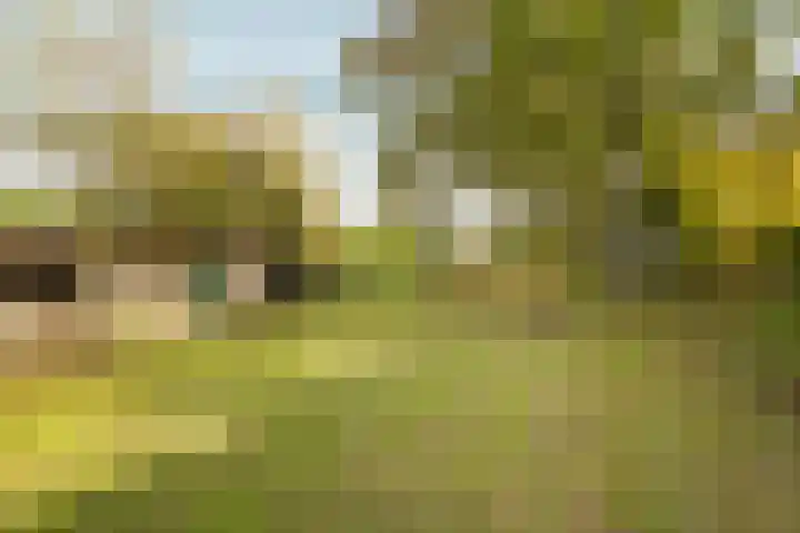 Elsteren 9 Well L thumbnail 45