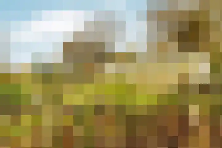 Elsteren 9 Well L thumbnail 46