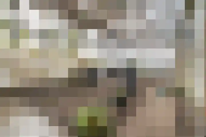 Elsteren 9 Well L thumbnail 47