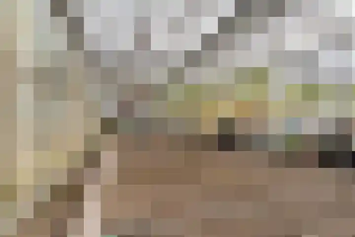 Elsteren 9 Well L thumbnail 48