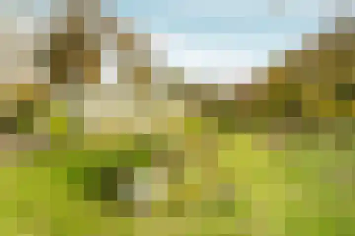 Elsteren 9 Well L thumbnail 49