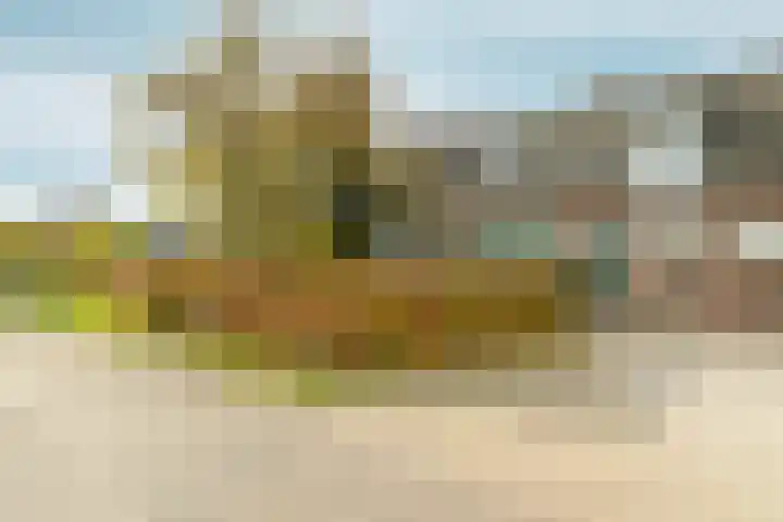 Elsteren 9 Well L thumbnail 6