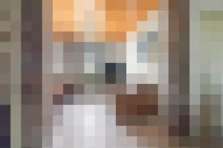 Elsteren 9 Well L thumbnail 9