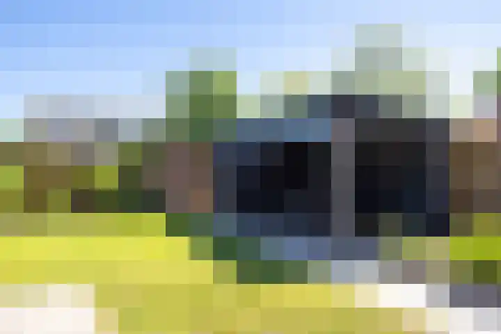 Elsterweg 36 Sittard thumbnail 38