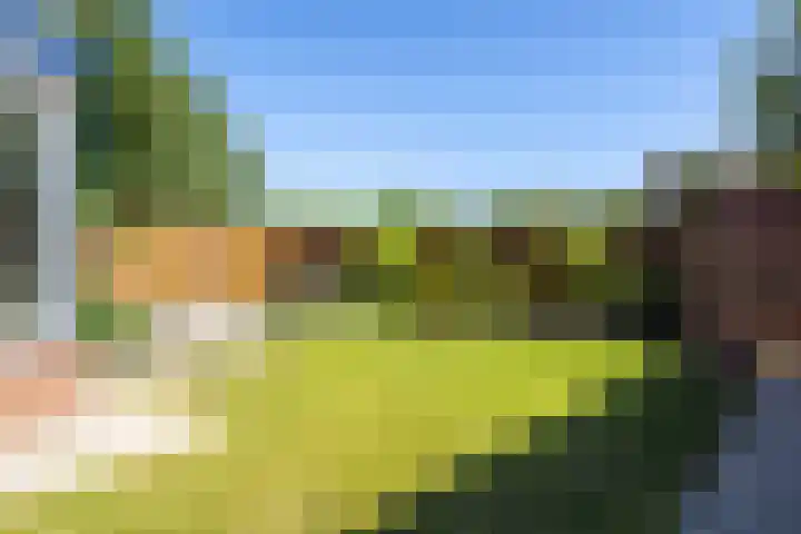 Elsterweg 36 Sittard thumbnail 42