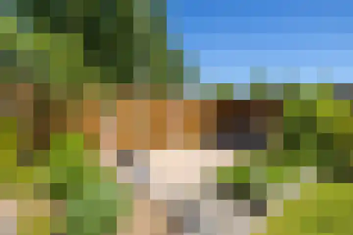 Elsterweg 36 Sittard thumbnail 43
