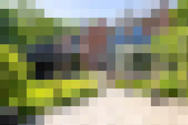 Elsterweg 36 Sittard thumbnail 44