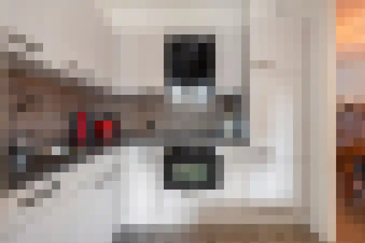 Elsterweg 38 Sittard thumbnail 21