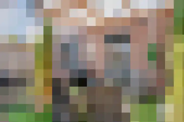 Elsterweg 38 Sittard thumbnail 33