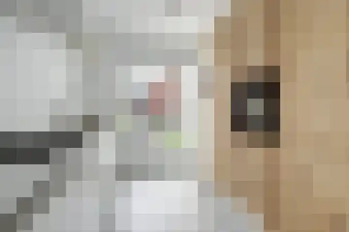 Elsthof 13 Hilvarenbeek thumbnail 19