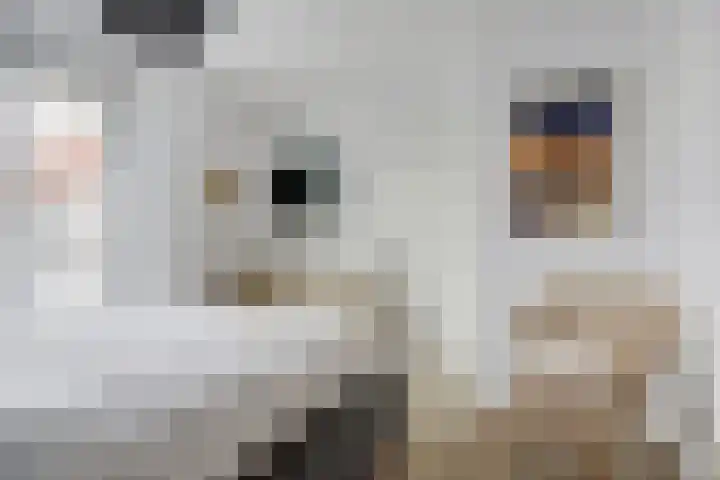 Elsthof 13 Hilvarenbeek thumbnail 22