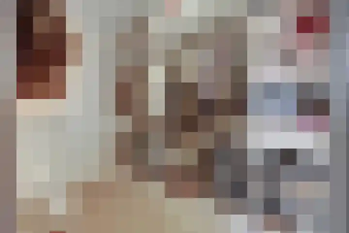 Elsthof 13 Hilvarenbeek thumbnail 24