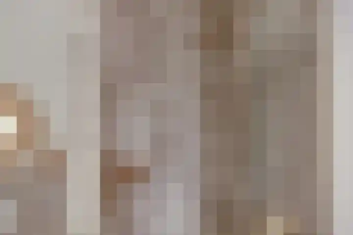 Elsthof 13 Hilvarenbeek thumbnail 28