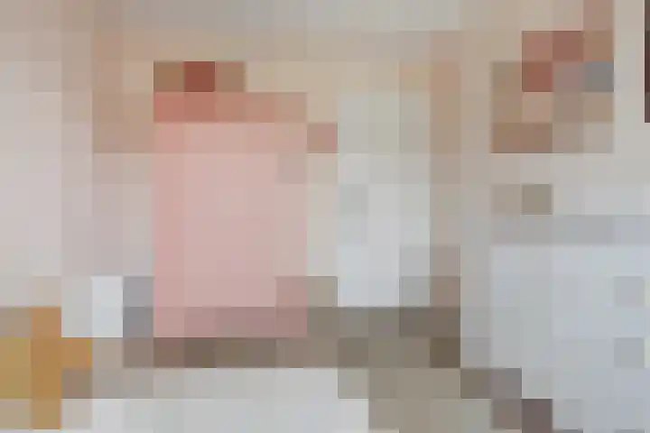 Elsthof 13 Hilvarenbeek thumbnail 32