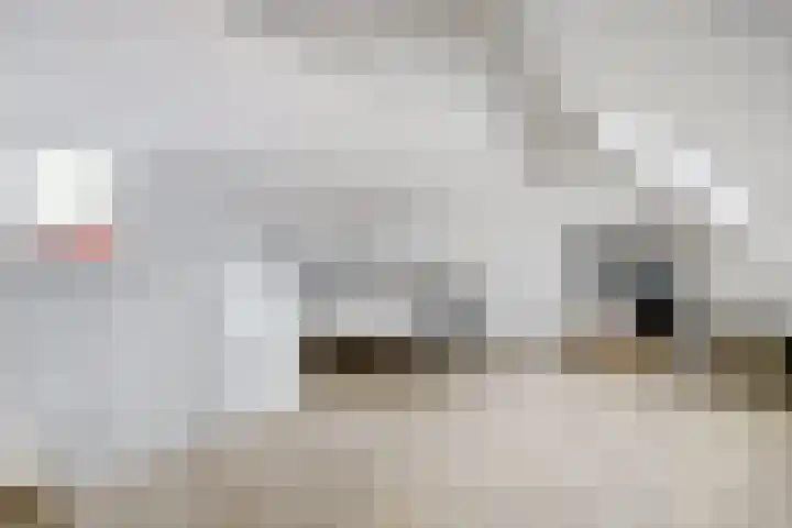 Elsthof 13 Hilvarenbeek thumbnail 33