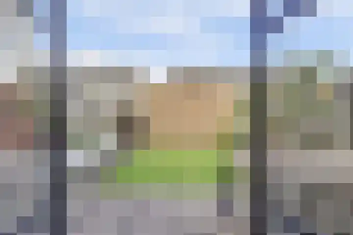 Elsthof 13 Hilvarenbeek thumbnail 35