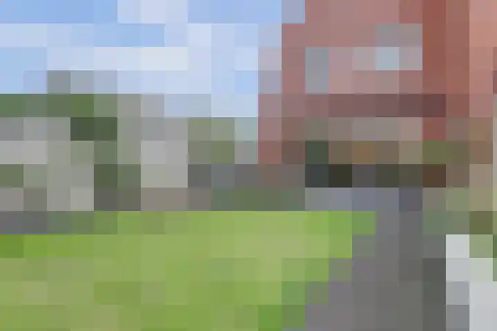 Elsthof 13 Hilvarenbeek thumbnail 36