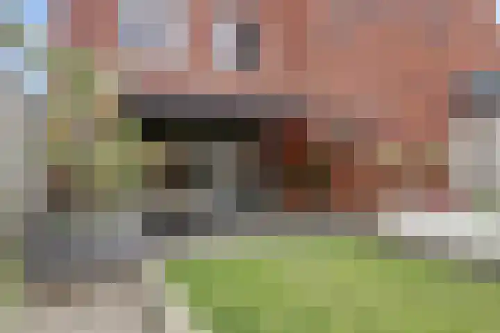 Elsthof 13 Hilvarenbeek thumbnail 37