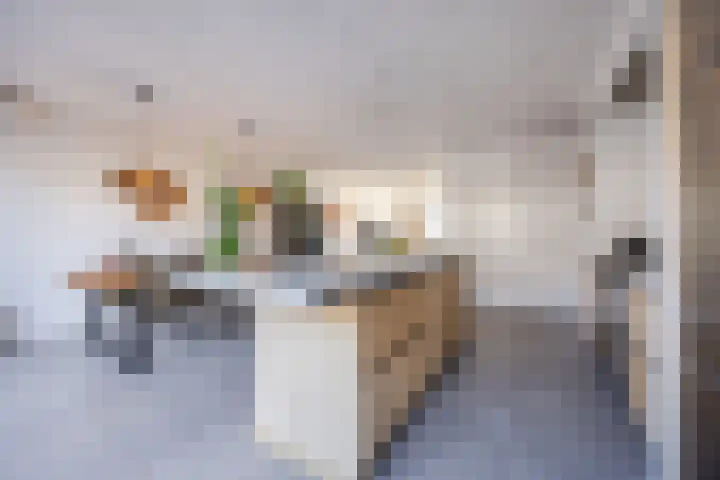 Elsthof 17 Hilvarenbeek thumbnail 14