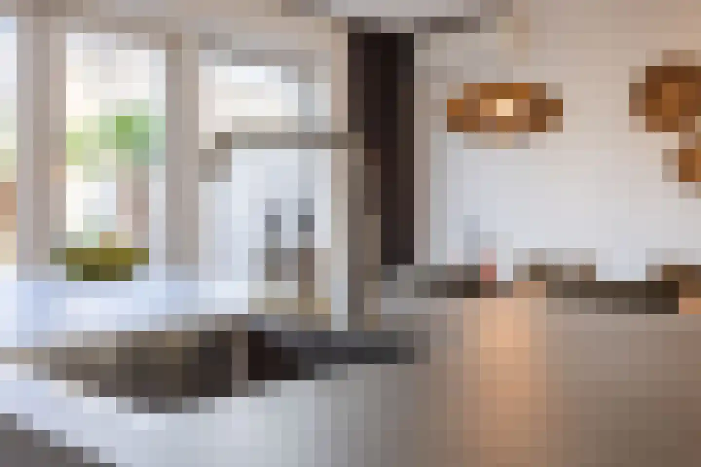 Elsthof 17 Hilvarenbeek thumbnail 16