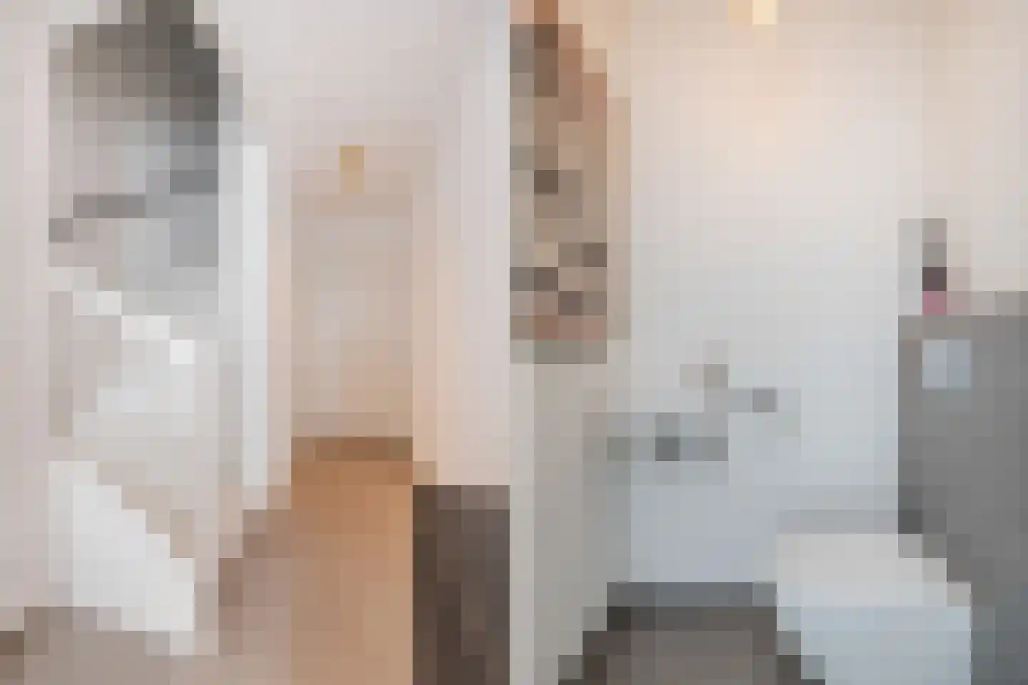 Elsthof 17 Hilvarenbeek thumbnail 17