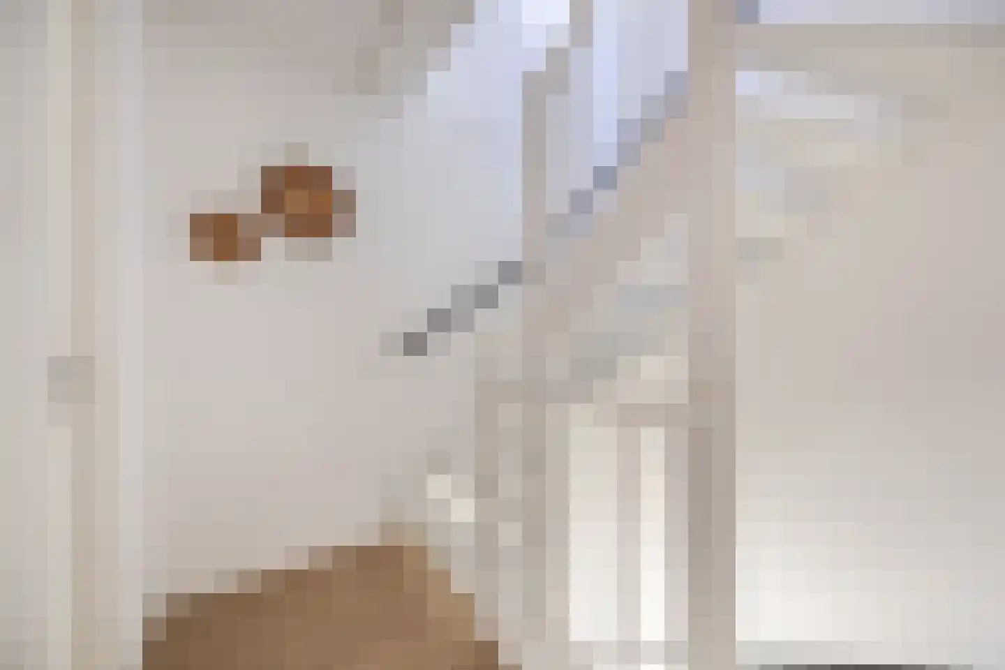 Elsthof 17 Hilvarenbeek thumbnail 30
