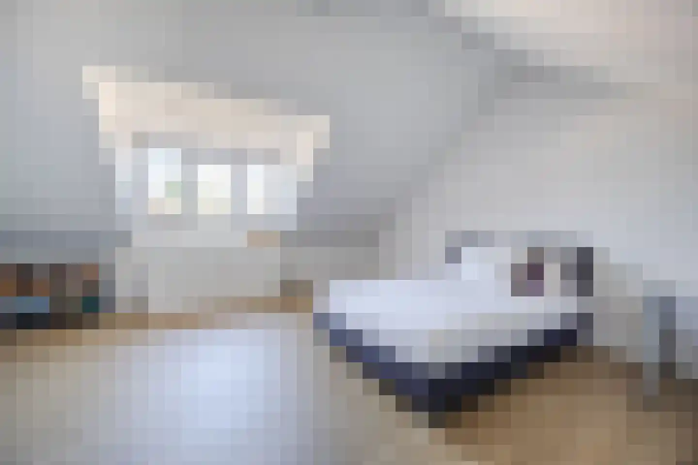 Elsthof 17 Hilvarenbeek thumbnail 32