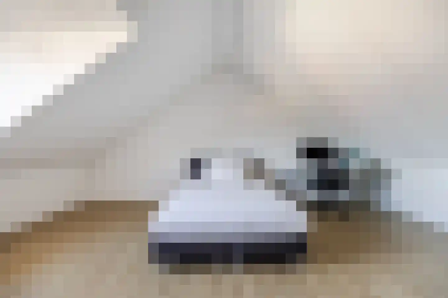 Elsthof 17 Hilvarenbeek thumbnail 35